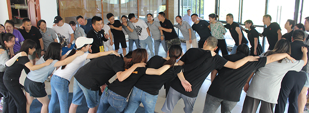 Our Team